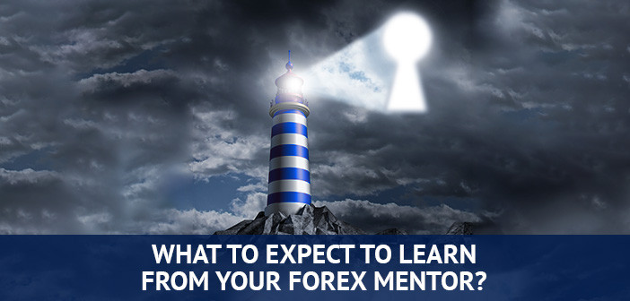 hva du kan lære av din forex mentor
