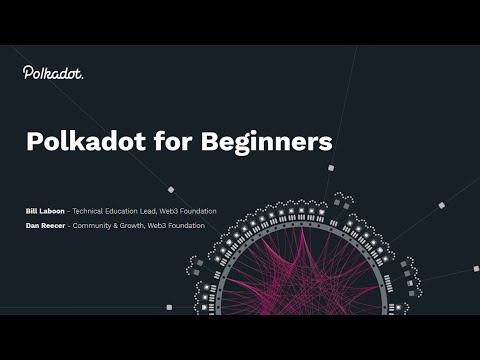 Wat is Polkadot?​Een Polkadot voor beginnershandleiding en inleiding tot Blockchain
