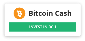 bitcoin kaip investavimo galimybė.)